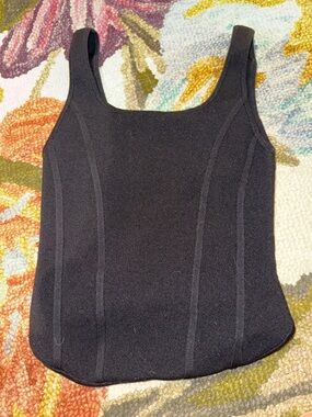 Aritzia Babaton Black Square-Neck Corset Top